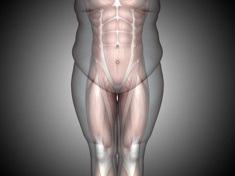 Можно ли жечь жир и растить мышцы одновременно? - fitLabs / Ирина Брехт