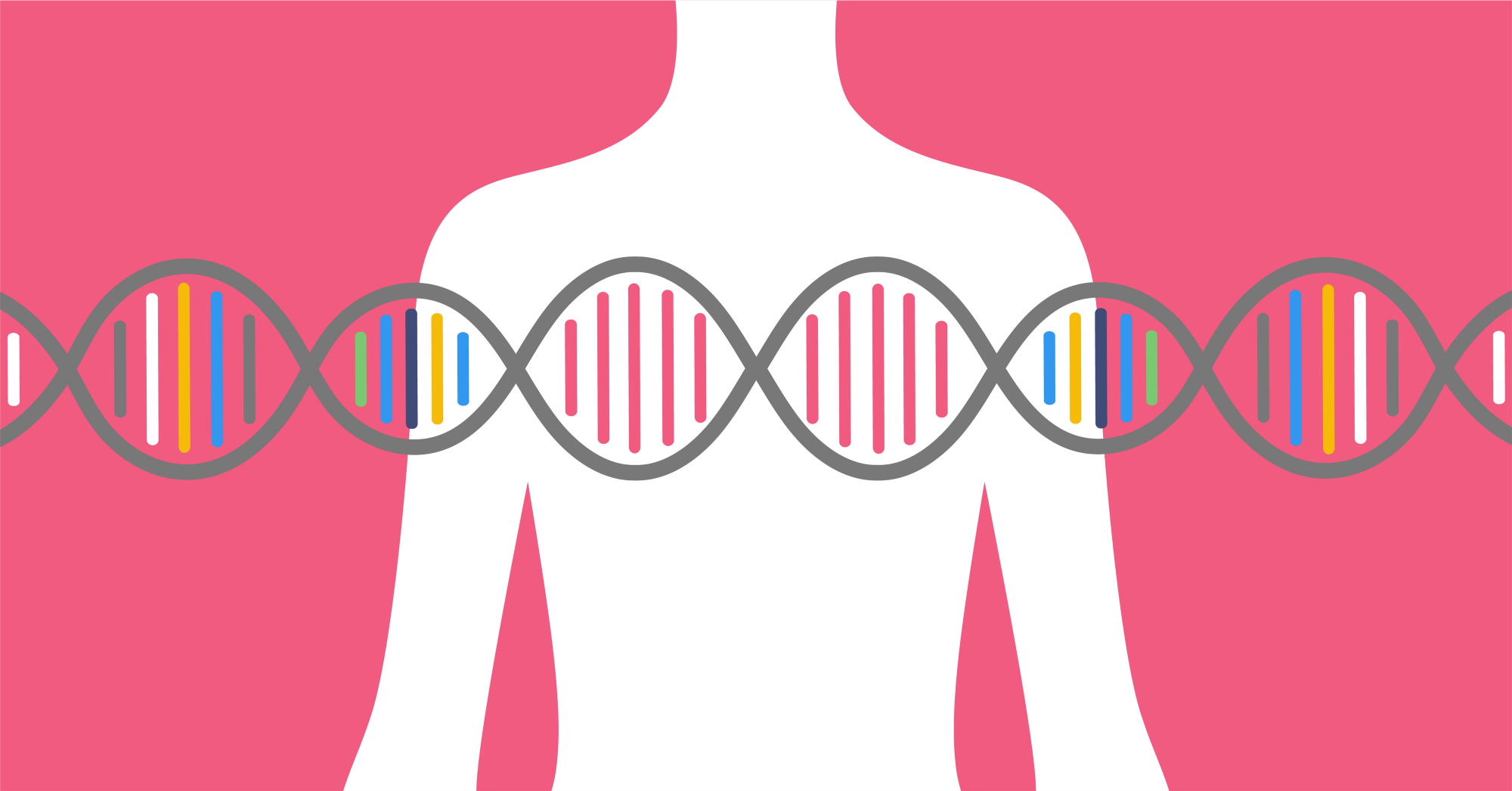 Питание и тренировки по ДНК-тестам